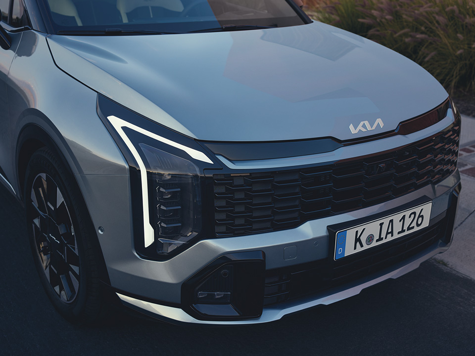 Sistemul inteligent Remote Smart Parking Assist